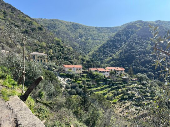 Descrizione immagine