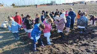 Descrizione immagine