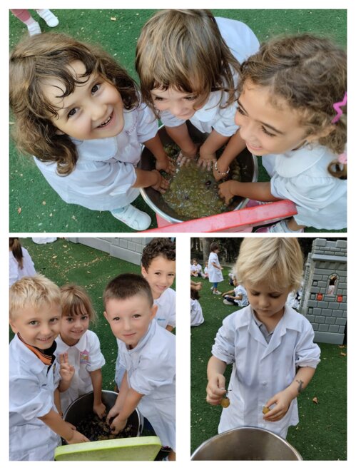 Descrizione immagine