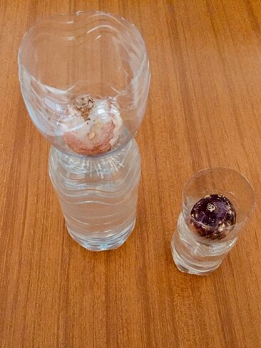 Descrizione immagine