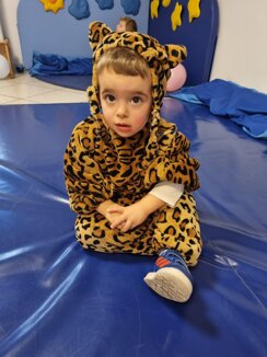 Descrizione immagine