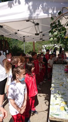 Descrizione immagine