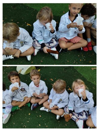 Descrizione immagine