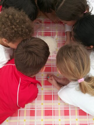 Descrizione immagine