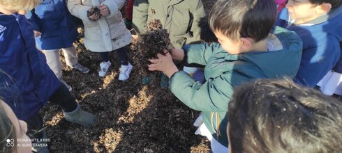 Descrizione immagine