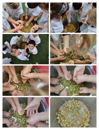 Descrizione immagine