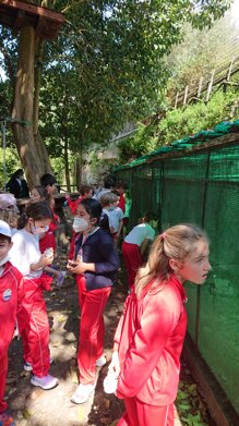 Descrizione immagine