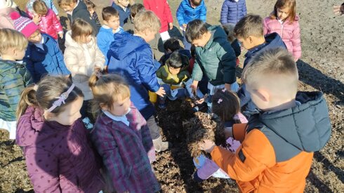 Descrizione immagine