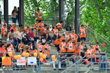 Descrizione immagine