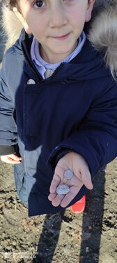 Descrizione immagine