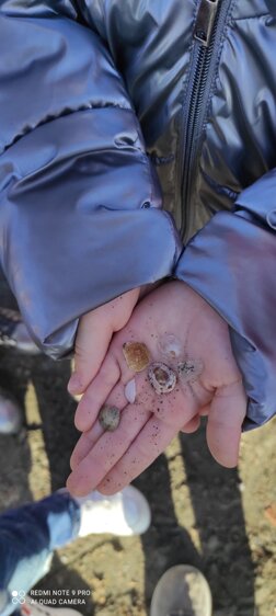 Descrizione immagine