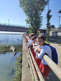 Descrizione immagine