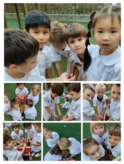 Descrizione immagine