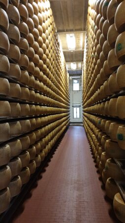 Descrizione immagine