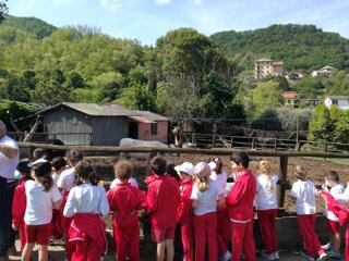 Descrizione immagine