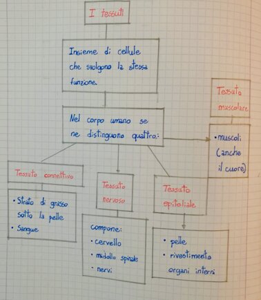 Descrizione immagine