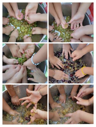 Descrizione immagine