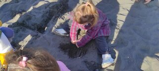 Descrizione immagine