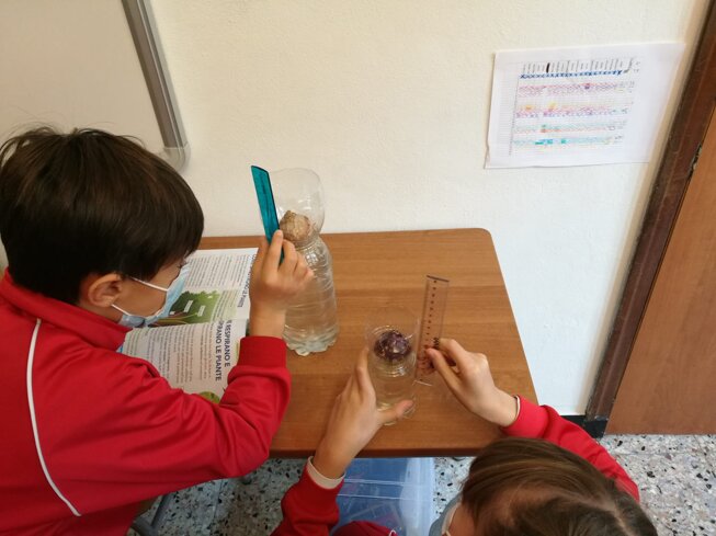 Descrizione immagine