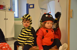 Descrizione immagine