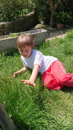 Descrizione immagine