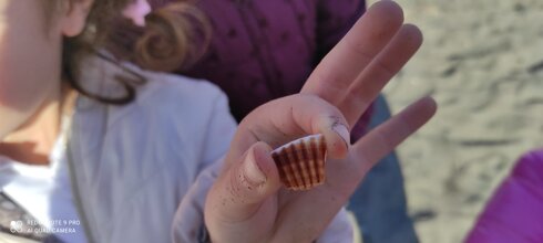 Descrizione immagine