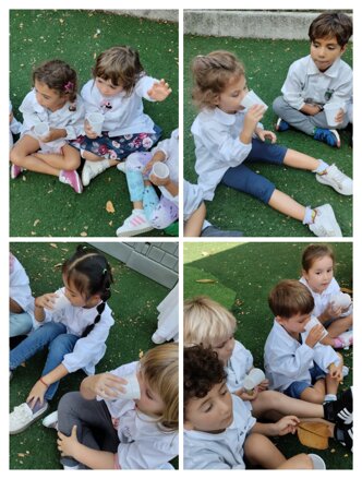 Descrizione immagine