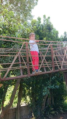 Descrizione immagine