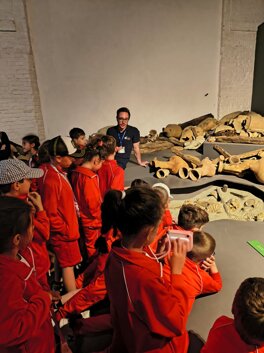 Descrizione immagine