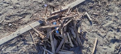 Descrizione immagine