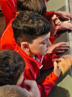 Descrizione immagine