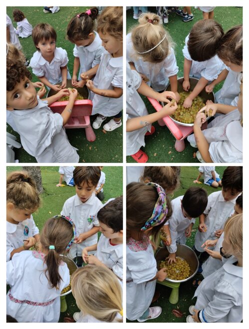 Descrizione immagine