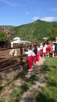 Descrizione immagine