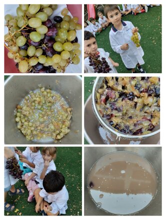 Descrizione immagine