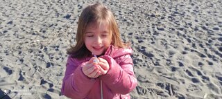 Descrizione immagine