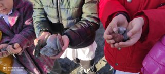 Descrizione immagine