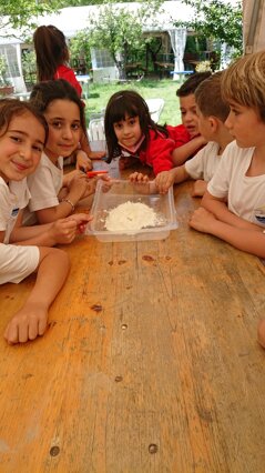 Descrizione immagine