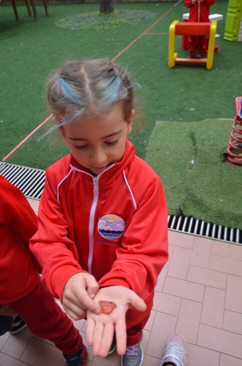 Descrizione immagine