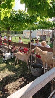 Descrizione immagine