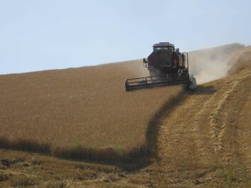 Descrizione immagine