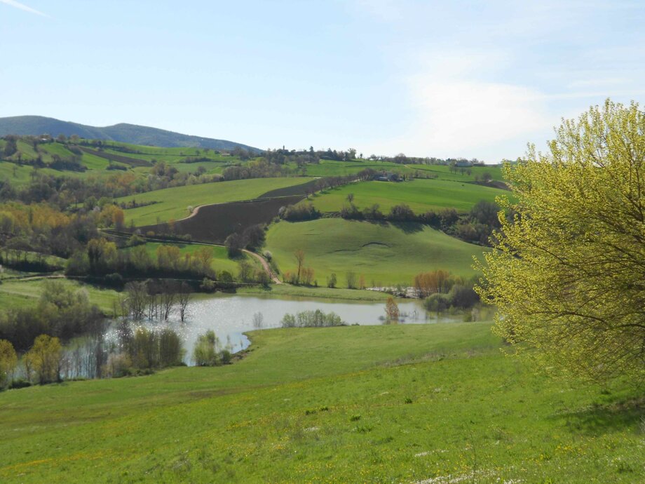 Descrizione immagine