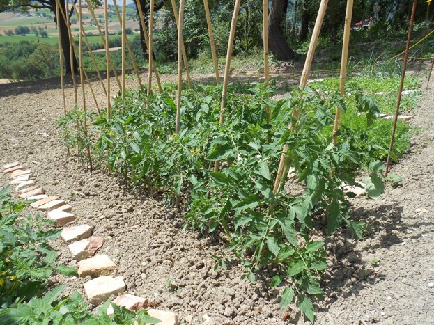 Descrizione immagine