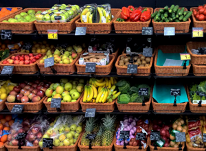 ce-albano1-2000x1125 ce-albano1-2000x1125