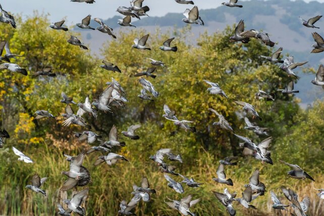 pexels-robertkso-34412930.jpeg pexels-robertkso-34412930.jpeg