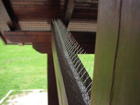 rete-antivolatili-industria1.jpeg rete-antivolatili-industria1.jpeg