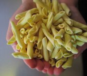 cicatelli pugliesi