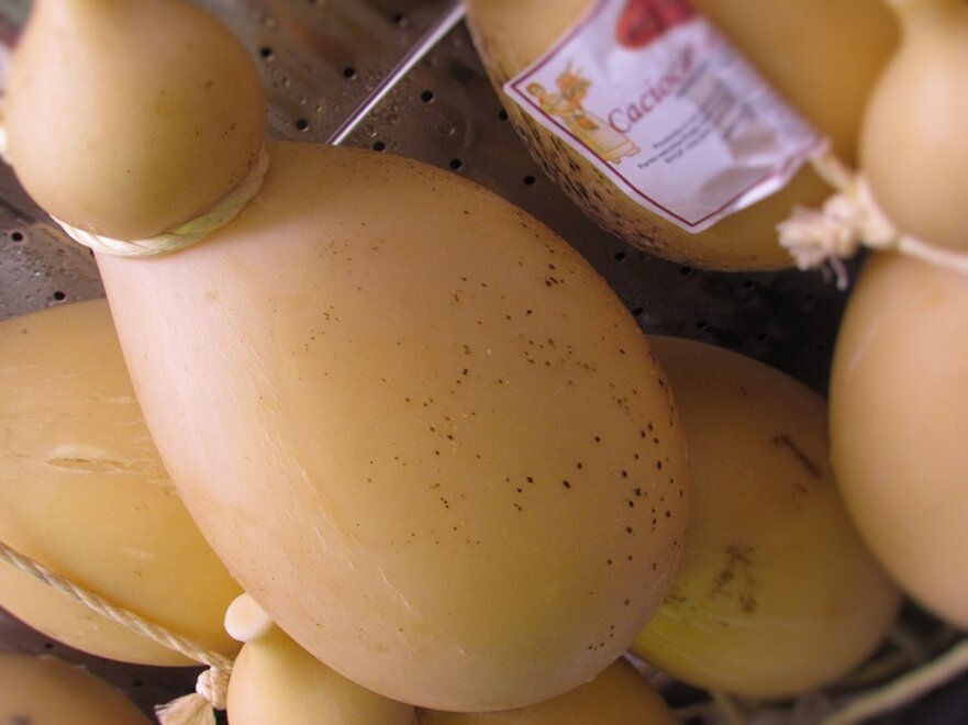 Descrizione immagine