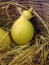 Descrizione immagine