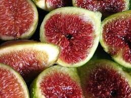 Descrizione immagine