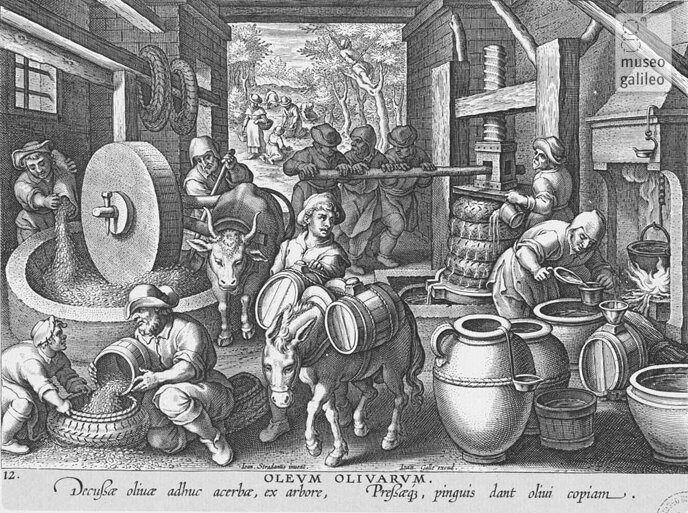 Descrizione immagine